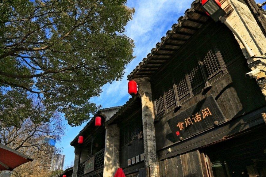 拯救精灵的土地6